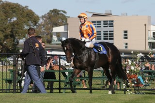 Xtravagant (NZ) winning the Cambridge Breeders' Stakes at Te Rapa. Photo Credit: Trish Dunnell.